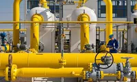 Romgaz primește undă verde pentru preluarea activelor Azomureș. Tranzacția deschide drumul valorificării gazelor din Neptun Deep