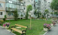 Se dau amenzi uriașe pentru românii care plantează flori sau copaci pe spațiile verzi din jurul blocurilor. De ce autorizație aveți nevoie