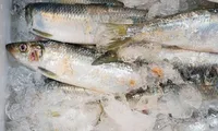 Alertă pentru românii care vor cumpăra pește de Florii. ANPC, mesaj pentru consumatori