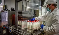 Nereguli fără precedent la lactatele din magazine!  ANSVSA a aplicat amenzi de peste 700.000 lei