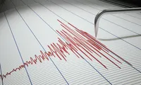 Cutremur în zona seismică Vrancea, miercuri dimineață