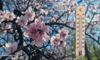 Prognoza meteo 22 martie 2025. Vremea va fi mai caldă decât în mod normal