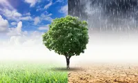 Ploile, grindina și vântul „mătură” România. ANM anunță prognoza meteo până pe 31 mai