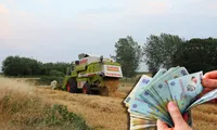 Vești bune pentru fermierii români! APIA prelungește perioada de depunere a cererilor de plată. Care este noua dată limită
