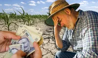 Se anunță noi scumpiri în România! Recoltele fermierilor sunt lovite de secetă pentru al patrulea an la rând