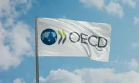 OCDE recomandă României creșterea impozitelor pe proprietăți pentru reducerea deficitului bugetar