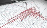 INCDFP: Cutremur de 4,4 pe Richter, produs marți dimineața în județul Buzău