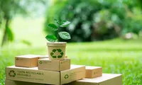 Ghidul complet al produselor biodegradabile și compostabile pentru evenimente zero waste