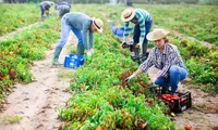 Categoriile de angajați români care pot beneficia de rambursarea parțială a impozitului pe venit. Ce condiții trebuie să îndeplinească pentru a primi banii înapoi