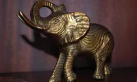 Reguli Feng Shui pentru noroc și prosperitate. Unde să pui elefantul ca să ai succes pe toate planurile