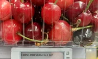 Cât a ajuns să coste 1 kg de cireşe la Mega Image. Românilor nu le vine să creadă!