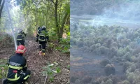 Delta Dunării, cuprinsă de flăcări. Peste 55 de hectare de pădure și vegetație au fost mistuite de foc