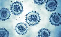 Alertă sanitară la Spitalul de Psihiatrie Ștei. Caz de hantavirus confirmat, opt pacienți plasați în carantină