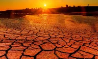 OMS: Aproximativ 500.000 de persoane mor anual din cauze legate de căldură