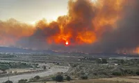 Incendiu de vegetație în sudul Spaniei, cel puțin 12 morți și 23 de persoane dispărute. Mesajul lui Nicușor Dan