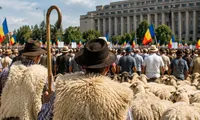 Zeci de crescători de ovine ies în stradă la București. Fermierii cer măsuri urgente pentru salvarea sectorului