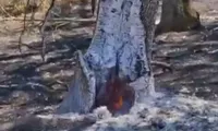 Misterul focului care arde de un an sub pământ, în Lunca Mureșului. Pompierii nu reușesc să stingă focarul