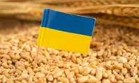 LAPAR cere control strict pentru cerealele ucrainene: „Nu putem lăsa tranzitul să blocheze agricultura și logistica României”