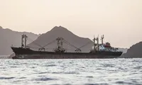 Consiliul de Securitate al ONU se reunește, după ce rebelii houthi și-au consolidat controlul asupra unui punct strategic de trecere din Marea Roșie
