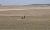 Alertă în Vaslui: O dronă cu explozibil a fost găsită pe un câmp, la doar 30 de kilometri de granița cu Republica Moldova