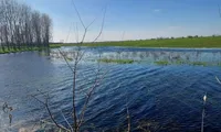Proiect de 3,39 milioane de euro pentru râul Jieț și biodiversitatea din regiunea Dunării. Se analizează reconectarea cu Jiul