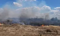 Incendiu de vegetație în Vrancea: Flăcările au cuprins aproximativ 10 hectare