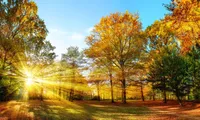 Cum va fi vremea în septembrie și la început de octombrie. Unde se anunță temperaturi peste normal
