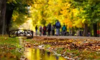 Cum va fi vremea în următoarele patru săptămâni. Temperaturi normale și puține ploi în septembrie
