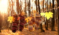 Toamna începe cu temperaturi de vară și secetă extremă. ANM: Septembrie va fi mai caldă decât normal