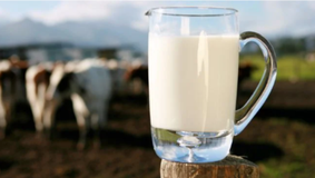 Lapte cu sodă caustică și peroxid de hidrogen. Producătorii mascau produsele stricate