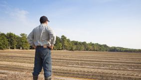 Povestea unui văcar român din Noua Zeelandă: Nu am nimic. Cum reușește să trăiască departe de casă