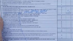 Ireal! O tânără din Făgăraş a ratat examenul auto  că nu a dat prioritate unui porumbel