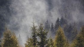 ANM a anunțat prognoza meteo pentru următoarele 4 săptămâni. Când se va încălzi și cum va fi vremea de Paște în acest an
