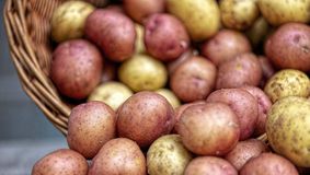 Cât costă un kilogram de cartofi, înainte de Paște. Prețul care i-a uimit pe români