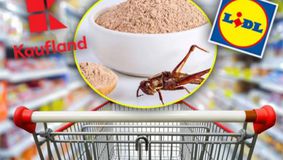 Care sunt produsele pe care le consumi zilnic de la Lidl şi Kaufland şi care conţin făină de insecte. Detaliul de pe etichetă la care să fii atent
