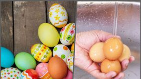 De ce ouăle nu trebuie spălate niciodată. Sfaturi utile pentru a le putea păstra în siguranţă 