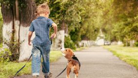 5 beneficii pentru copii, pe care le oferă animalele de companie