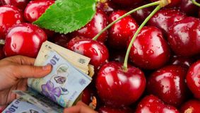 Cât costă un kilogram de cireșe românești, primele ajunse în piețe. Te crucești