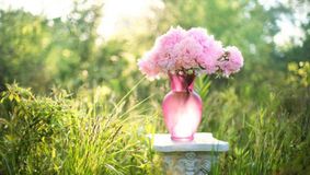 Trucul secret al florăriilor pentru bujori. Ce ingredient banal trebuie să pui în apă ca să reziste mai mult florile