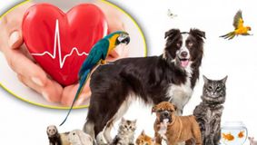 Singurul animal care îşi poate da seama dacă eşti grav bolnav. Foarte mulţi români îl au deja acasă