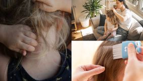 Gestul revoltător al unei mame! Femeia, vegană, refuză să o scape pe fiica sa de păduchi. „Eu nu omor ființe vii”