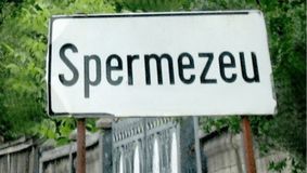 Cele mai amuzante nume de localități din România. Cum e să trăiești în Spermezeu, Băleşti sau Borăscu