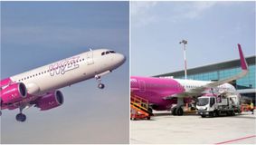 Wizz Air suspendă zborurile spre trei destinații din Europa. Două dintre ele sunt foarte populare printre români