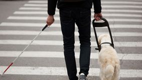 O nouă lege garantează accesul liber al persoanelor nevăzătoare însoțite de câini ghizi în toate spațiile publice