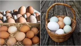 Ce se întâmplă cu prețul ouălelor chiar înainte de Paște?
