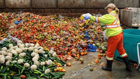 Probleme uriașe pentru fermieri: Aruncă tone de legume din cauza campaniei electorale și a samsarilor!