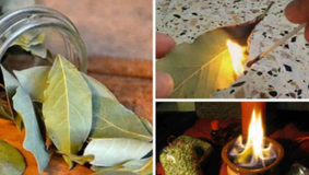 Transformă-ți casa într-un sanctuar al relaxării: descoperă cele 7 beneficii surprinzătoare ale arderii frunzei de dafin în fiecare noapte