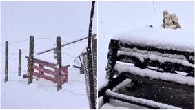 Locul din România unde ninge abundent. Ninsori ca în toiul iernii și peisaj de poveste: ”Cât de frumos!”