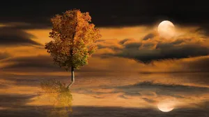 Horoscop WEEKEND 10-12 octombrie 2025: Ce vești bune de aduce finalul săptămânii. Venus, Micul Benefic, se aliniază cu Jupiter, Marele Benefic, aducând noroc, iubire, inspirație