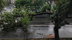 ULTIMA ORĂ. ANM a emis cod galben de vijelii, furtună cu putere de uragan. S-au emis deja 645 de alerte în 2025!